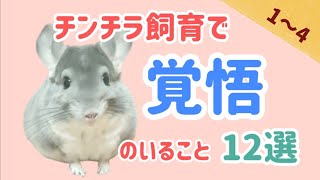 【チンチラ】〈前編〉迎える前に知っておきたい！チンチラ飼育で覚悟のいること12選  1～4