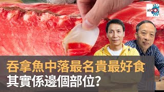 日本人唔鍾意食拖羅　吞拿魚中落最名貴最好食　其實係邊個部位？｜D100 為食麻甩騷｜梁家權、班哥