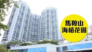 【海栢花園】市中心地利 上車至愛