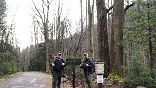 Smoky Mountains March 2019