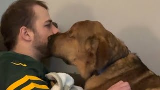 Blind rescue pup melts guy who didn't want him