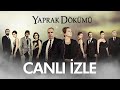 Yaprak Dökümü Canlı Yayın