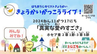 「真実な愛のすごさ」＊2024年11月17日 はちおうじキリストきょうかい きょうかいがっこうライブ