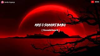 Are o shahri babu lofi song slowed and reverb video
