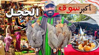 وثائقي: زيارة سوق شعبي في عمق المغرب 🇲🇦 تجربة اكل الحجل 🥩أرخص سوق ‼️