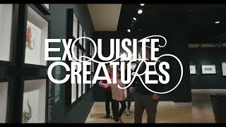 Exquisite Creatures | Now on View