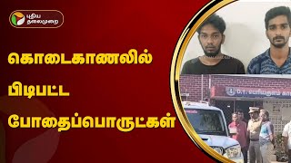 கொடைகாணலில் பிடிபட்ட போதைப்பொருட்கள் | Kodaikanal | Drugs | PTT