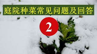 庭院种菜常见问题及其回答【2】/ Gardening FAQ 【2】