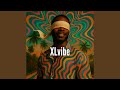 XLvibe
