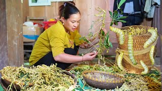 How to Harvest Giant Silkworms and Sell them at the Market | LTC - Free Bushcraft