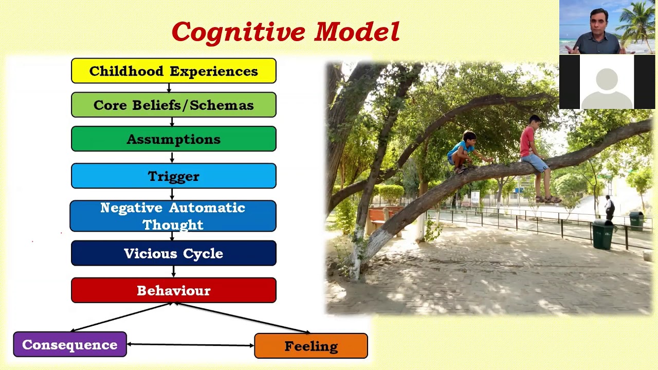 Cognitive Model Of Psychopathology (Online Class On 05 11 2020 ...