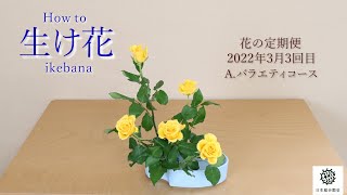 花の定期便　生け方動画 　バラ