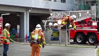 消防隊はしご車 レスキュー訓練  豊島消防署 No.3  Rescue team rescue training