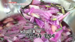 [생방송 오늘 저녁] 코로나19를 이겨라! 빨간배추 농가 농민의 아이디어 20200311