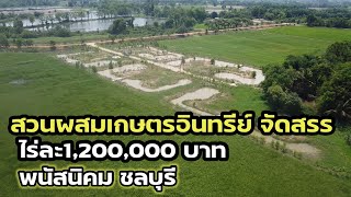 สวนเกษตรอินทรีย์จัดสรร แปลงละ1ไร่  #โคกหนองนาโมเดล  #เกษตรอินทรีย์ #จัดสรรที่ดิน #ชลบุรี #พนัสนิคม