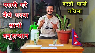 (आकर्षक नतिजा) फूललाई [कटिङ्गबाट पानी/माटोमा सर्ने सही तरिका ] Best Method to grow Flower Cuttings.