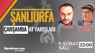 12 Şubat 2025 // Şanlıurfa At Yarışı Tahminleri // Muhammed Salih Yardımcı - Yener Çelik