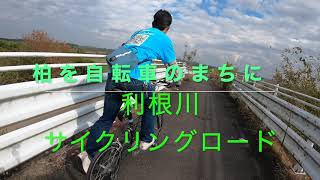 利根川サイクリングロード入口4-柏を自転車のまちに2