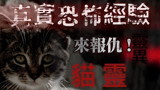 鬼故事 『真實的恐怖故事』親身經歷#37 恐怖故事｜ 不懂得尊重生命 任意殺害動物的下場