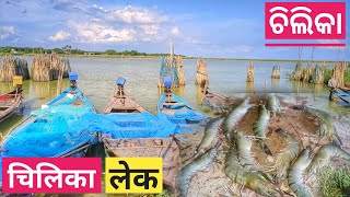 Chilika lake || चिलिका लेक || ଚିଲିକା ର କିଛି ସୁନ୍ଦର ସ୍ଥାନ ଯାହା ଆପଣ ଦେଖି ନଥିବେ #chilika #chilikalake