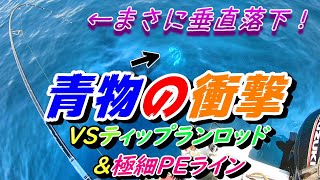 ティップランロッドで地獄！エギング→ジギングからの突如襲来青物との格闘！！！