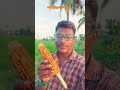 మొక్కజొన్న పొత్తు 2 రూపాయలు 😇 sweetcorn mokkajonna shots youtubeshorts