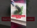 upgrade your kitchen game with this herb cutting hack food cooking