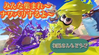 参加型 　よろしければあそびませんか？　スプラトゥーン２