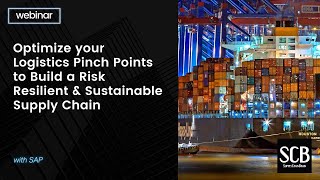 Optimize your Logistics Pinch Points to Build a Risk Resilient & Sustainable Supply Chain