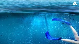 SEPARATION – Episode 15 – How can a screening technology help harvest the power of the sea?