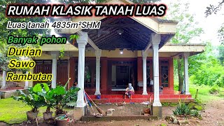 Di jual RUMAH KLASIK tanah luas dan banyak pohon 🌴buah-buahan