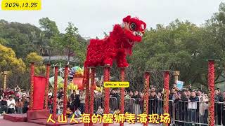 Lion Dance  |  Acrobatic Red Lion Dance Perform | 红狮高桩醒狮表演 龍獅文化