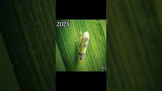 2025 Erythroneura and 5000bce Erythroneura || Past animals ||#shorts #trend #new #evolution #animal