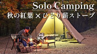 【ソロキャンプ】キレイな紅葉の下サーカスTCDXと薪ストーブでポカポカ快適キャンプ⛺