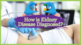From Symptoms to Diagnosis: Navigating Chronic Kidney Disease