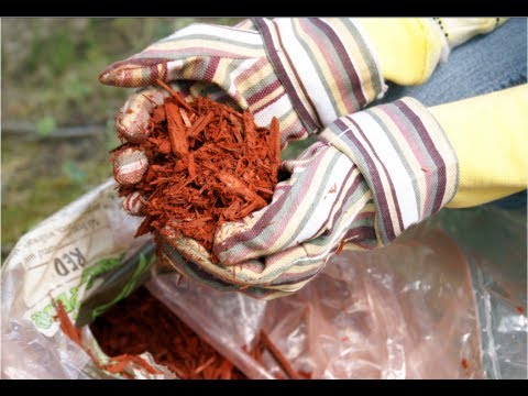 How to Make Mulch - Composting At Home DIY How to Make Mulch - Composting At Home DIY