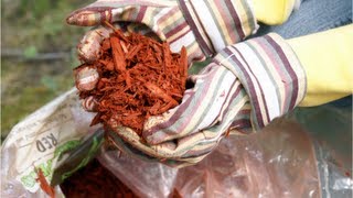 How to Make Mulch - Composting At Home DIY