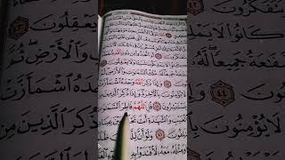 وإذا ذكر الله وحده اشمأزت... تلاوة جميلة بصوت ماهر المعيقلي #quran #اكسبلور #shortsvideo