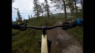 Iso-Syöte Musta enduro MTB trail, black Enduro, RAW