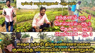 ஈஷா நர்சரி திருவண்ணாமலை குறைந்தவிலையில் மரகன்றுகள்| IshaNursery cultivation|Village thamizha village