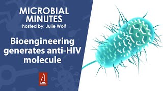 Bioengineering generates anti-HIV molecule