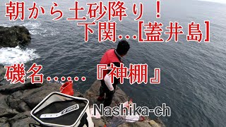 【蓋井島】『グレ釣り』朝から土砂ぶり！！どうなる梅雨グレ！！