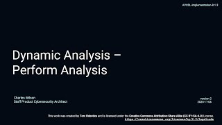 AVCDL dynamic analysis - perform analysis