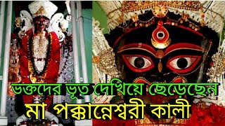 ভক্তদের ভূত দেখিয়ে ছেড়েছেন শান্তিপুরের মা পক্কান্নেশ্বরী কালী . pokkaneswari kali shantipur |