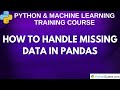 How to Handle Missing Data in Pandas