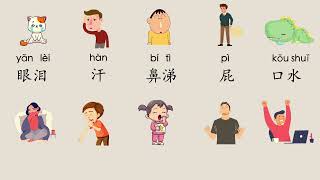 学中文 生理现象 Physiological phenomenon in Chinese, Chinese learning Cards, 汉语教学词卡, Mr Sun Mandarin