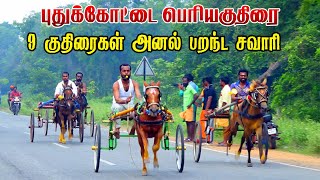 பெரியகுதிரை புதுக்கோட்டை 18/12/2022 periyakuthrai pudhukottai ksk rekla race