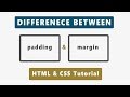 Difference between padding and margin in HTML & CSS-HTML and CSS tutorials for beginners(Hindi/Urdu)