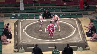 笹山-千代の勝/2018.1.18(16)/sasayama-chiyonokatsu/day5 #sumo