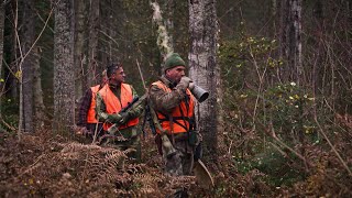 Chasse Québec : le mot de la fin - Sépaq